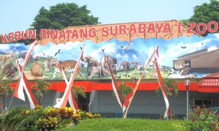 Wisata Kebun Binatang Surabaya Wisata Kebun Binatang Surabaya