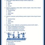 Soal Ujian Pjok Kelas 6
