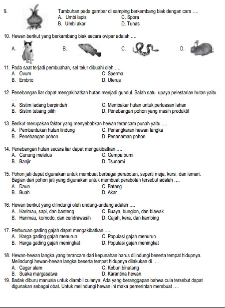 Contoh Soal Tema 7 Kelas 6