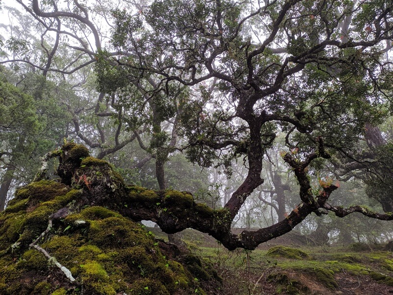 Wisata Fatumnasi Wisata Fatumnasi