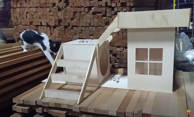 Desain Rumah Kucing Dari Triplek