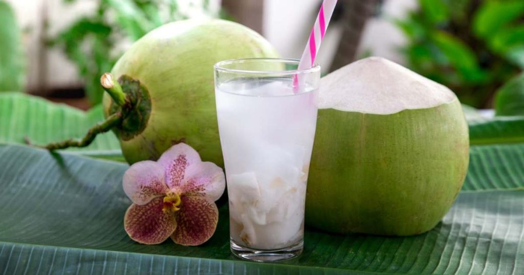 Minum Obat Dengan Air Kelapa Minum Obat Dengan Air Kelapa