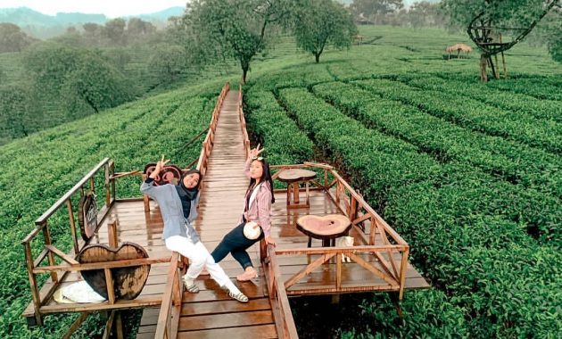 Wisata Kebun Teh Lawang