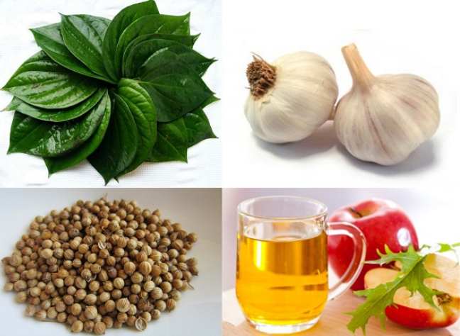 Obat Alami Jamur Kulit