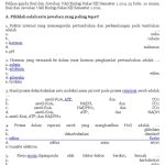 Soal Biologi Kls 12 Semester 1