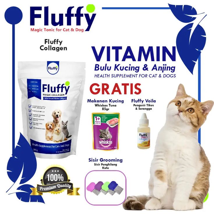 Hukum Riba Bank Dan Asuransi