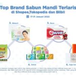 Pagar Loster Rumah Minimalis