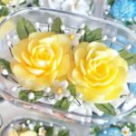 Obat Tetes Mata Insto