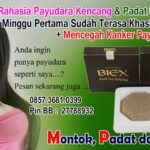 Tk Di Jakarta Selatan