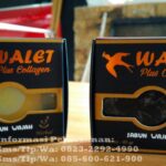 Obat Herbal Ambeien