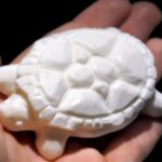 Akomodasi Transportasi Dan Biro Perjalanan Wisata Termasuk