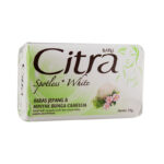 Desain Rumah Menghadap Barat