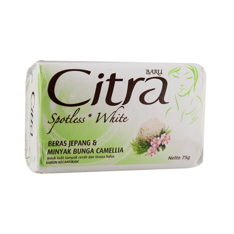 Desain Rumah Menghadap Barat