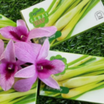 Cara Verifikasi Ulang Bca Mobile